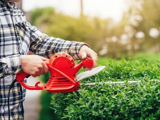 Grounds cleanup and green waste removal